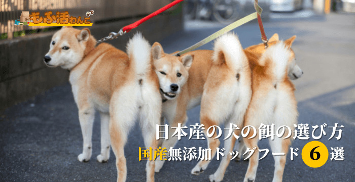 国産無添加ドッグフードおすすめ人気ランキング！日本産の犬の餌の選び方