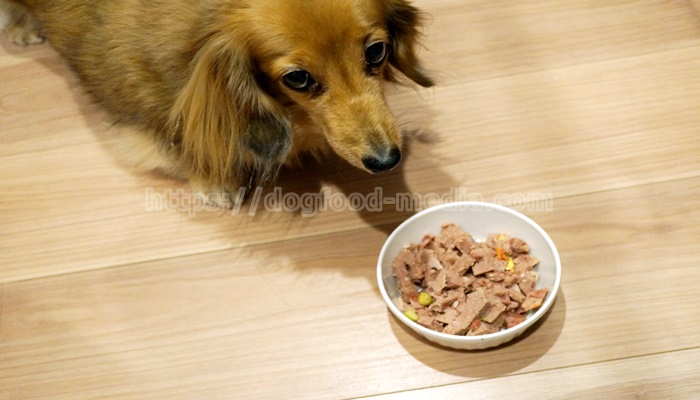 犬用ウェットフード ブッチドッグフード の口コミ 評判は 食いつきは抜群 もふ活わんこ