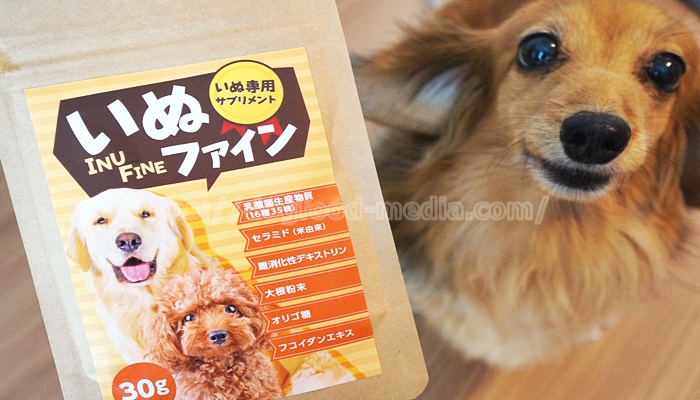 【レビュー】いぬファイン(INU FINE)は獣医師お墨付きの犬の腸活サプリ